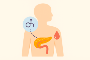 Indice insulinico e carico insulinico