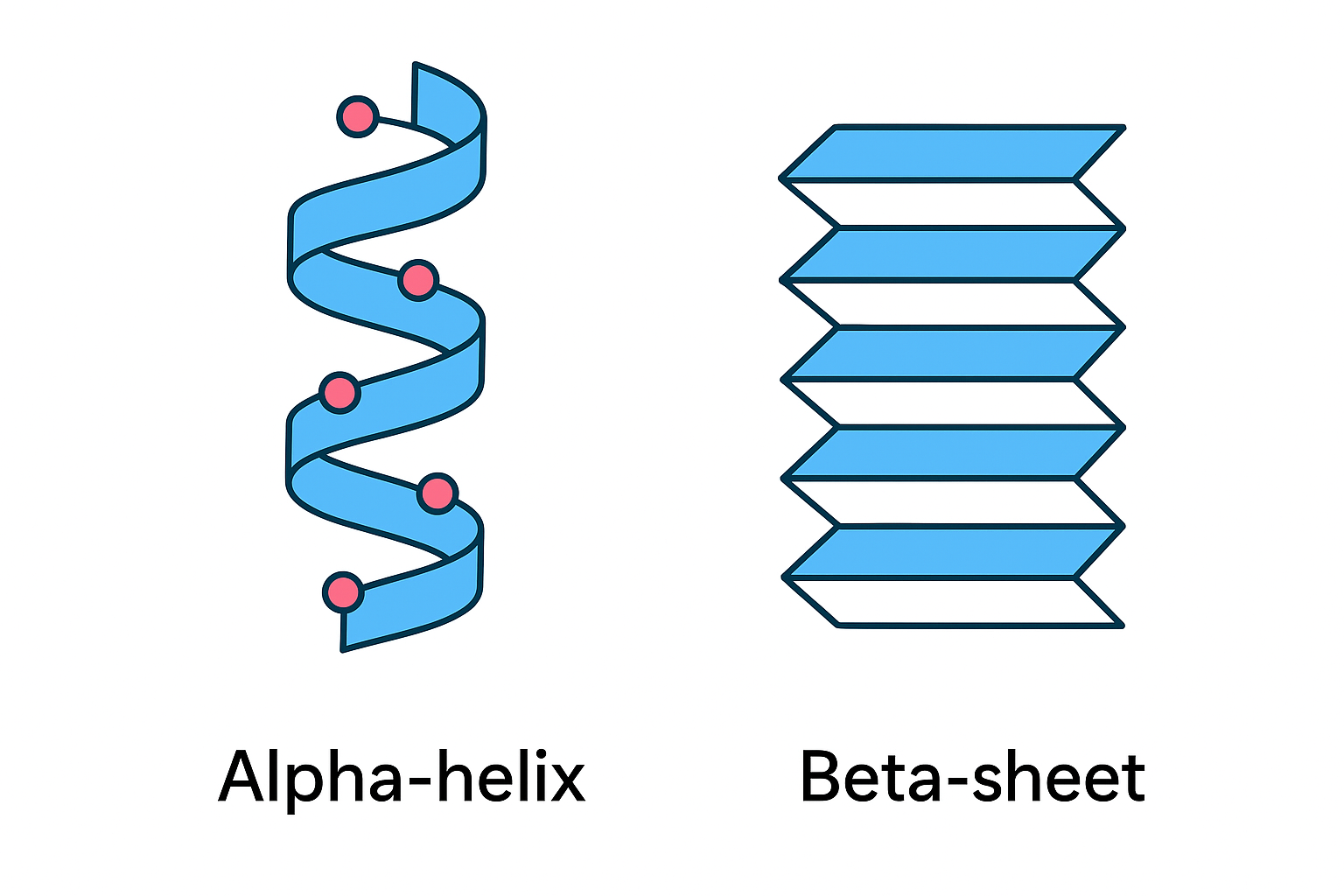 proteine struttura secondaria proteine struttura secondaria