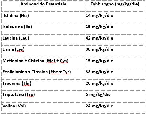 aminoacidi essenziali fabbisogno