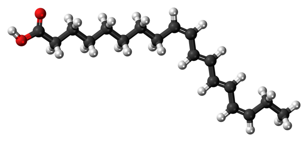 struttura lipidi_grassi