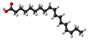 Struttura dei lipidi