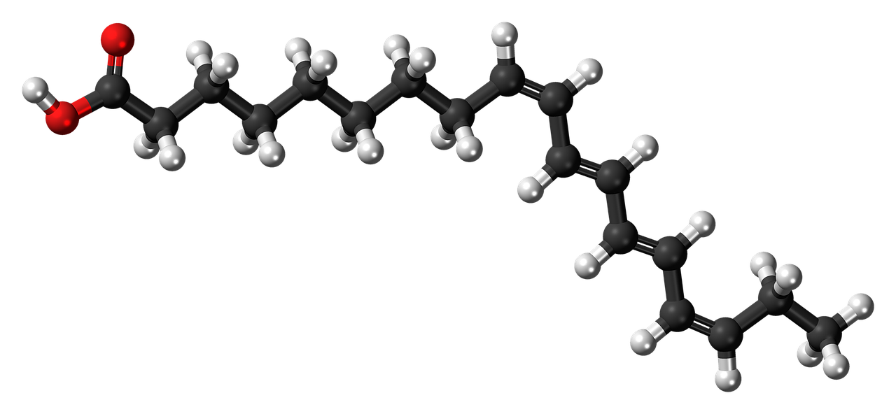 Struttura dei lipidi