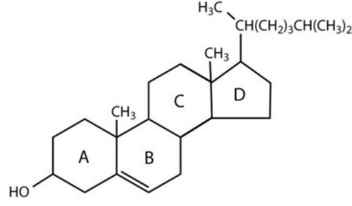 colesterolo struttura chimica