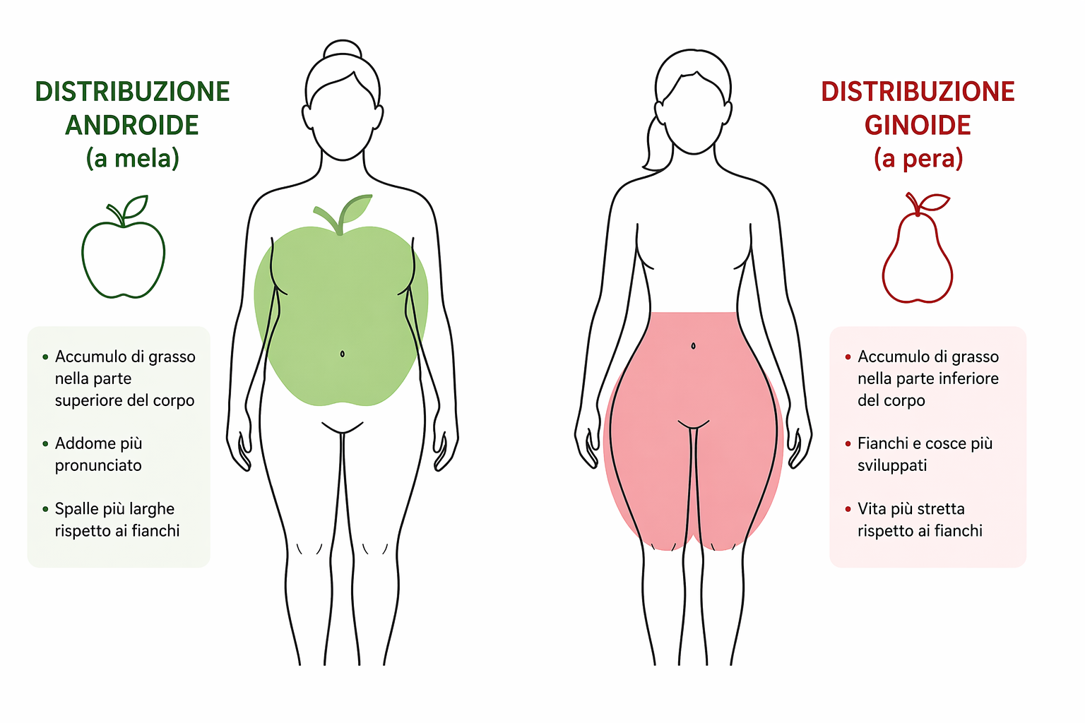 Distribuzione androide e ginoide tessuto adiposo_androide e ginoide